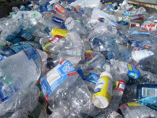 The Real Cost of Bottled Water: An Ecological and Economic Perspective
